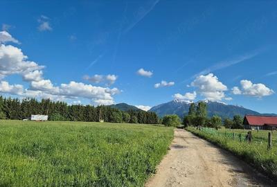 Teren de 7500 mp, în Bran - 1