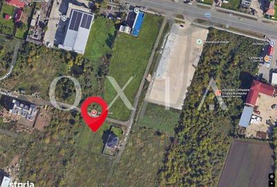 Spațiu comercial, în Buziașului