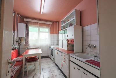 Vedere directă spre faleza Mureșului, disponibil acum Micalaca 300 - 3