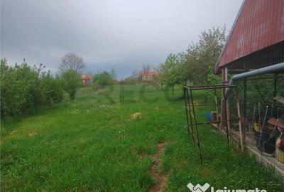 Casă cu 9 camere cu Teren 2600 Mp în Hotar - 8