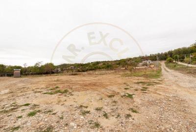 TEREN INTRAVILAN ARGESELU!!! - 5