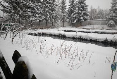 Teren Construcții intravilan de 2300 mp, în Prejmer - 7