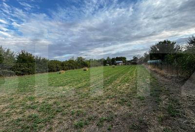 Casa 4 camere cu teren de 3892 mp - 2