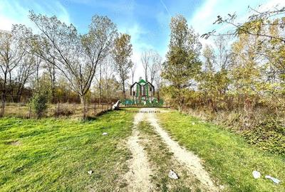 Teren Dem Radulescu 1092mp - 4