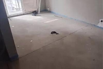 Apartament 2 camere pe Câmpina - 1