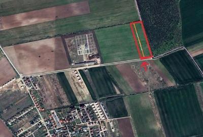 Teren Construcții intravilan de 550 mp, în Corbeanca - 3