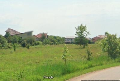 Teren intravilan 5.293 mp-deschidere 42m-Domnesti Ilfov, utilitati la limita - 2