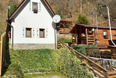 Casă cu 2 camere în Lăpuștești - 9