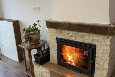 Casă cu 3 camere cu Teren 350 Mp în Vetiș - 15
