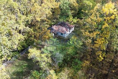 TEREN INTRAVILAN IN PADURE LA VARBILA - PRAHOVA COMISION 0% - 6