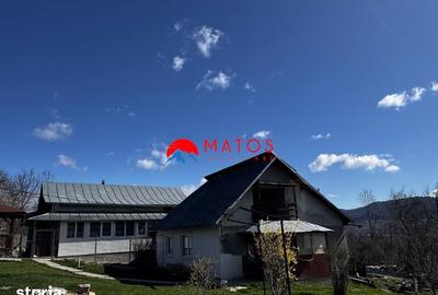 Casă cu 3 camere cu Teren 3025 Mp în Ghioșești - 12