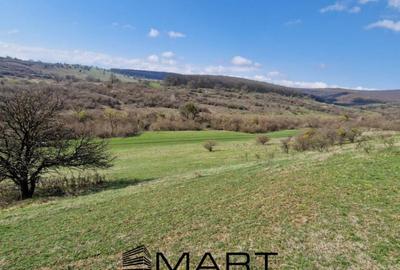 Teren extravilan 16420 mp | Sibiu - Daia - 3