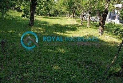 Royal Imobiliare - Vanzare Teren zona Paulesti - 2