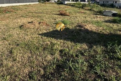 Teren de 390 mp, în Central