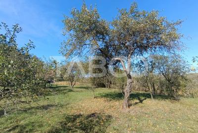 Casa de patrimoniu cu teren arhitectura saseasca sat Nou judetul Sibiu Casa de patrimoniu cu teren arhitectura saseasca sat Nou judetul Sibiu - 16