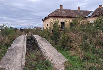 Casă individuală cu 3 camere cu Teren 2880 Mp în Zărand - 4