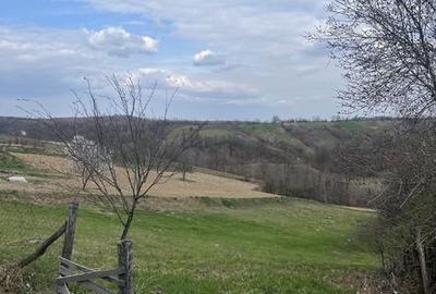 Teren de 5000 mp, în Copăcel - 4