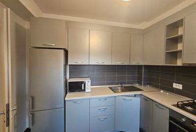 Apartament cu 2 camere semidecomandat, mobilat în Lipovei - 8