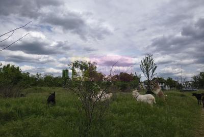 Teren Construcții intravilan de 3750 mp, în Giulești - 44