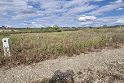 Teren Construcții intravilan de 680 mp, în Săldăbagiu de Munte - 7