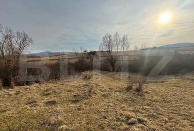 Teren de 11200 mp, în Central - 1