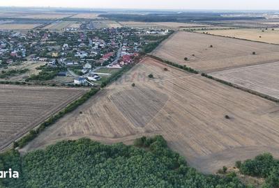 Teren de 40300 mp, în Corbeanca - 4