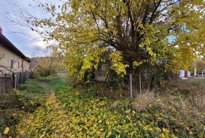 Teren intravilan, 4967 mp, utilita?i, sat Rasova, Bale? - 5