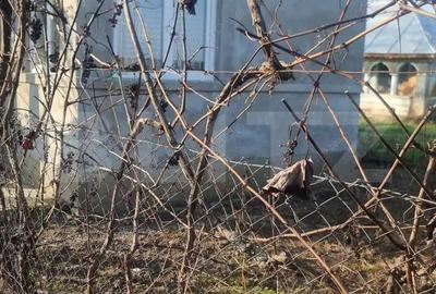 Pachet complet: casa + 800 mp Cocorastii Colt - 13