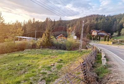 Teren Construcții intravilan de 941 mp, în Hangu - 22