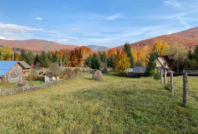 Teren Construcții intravilan de 2300 mp, în Valea Doftanei - 1