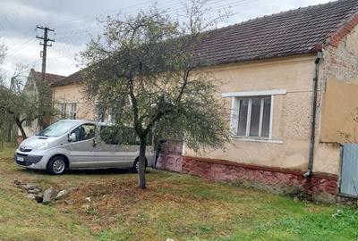 Vand casa Caprioara, com.Savarsin - 1