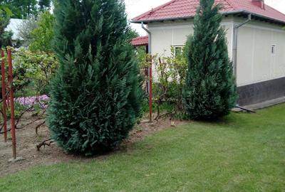 Casă cu 3 camere cu Teren 2850 Mp în Băiculești - 4