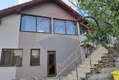 Casa / Vila cu 6 camere de vanzare in zona Calea Severinului - 15