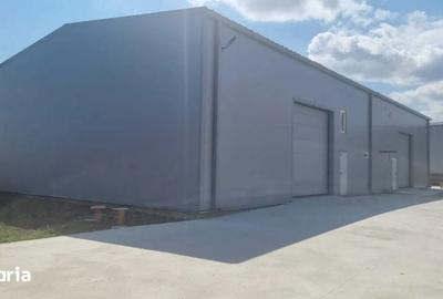 Spațiu comercial, de 480 mp, în Chiajna - 5