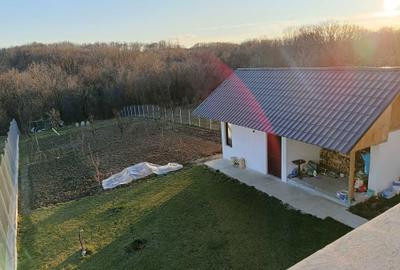 Casă cu 4 camere în Slătioarele - 15