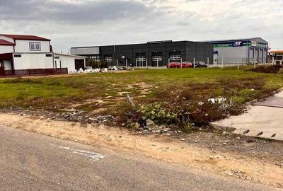 Spațiu comercial, în Dumbrăvița - 3