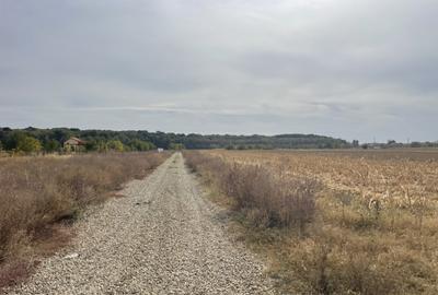 Domne?ti, Teghes, teren de 1000mp langa padure, utilitati. - 5