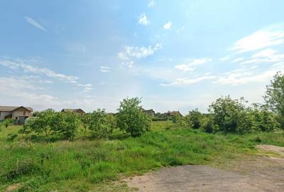 Teren intravilan 5.293 mp-deschidere 42m-Domnesti Ilfov, utilitati la limita - 3