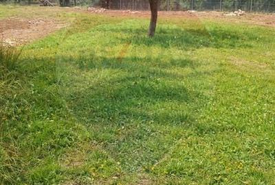 Casă cu 2 camere cu Teren 9035 Mp în Breb - 4