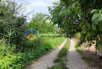 Teren intravilan com. Alexandru cel Bun- Viisoara - 13