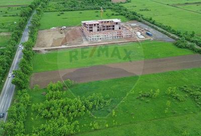 Teren de 4000 mp, în Cicârlău - 2