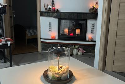 Apartament cu 3 camere decomandat, mobilat în Central - 3