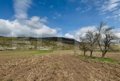 Teren de 1500 mp, în Central - 2