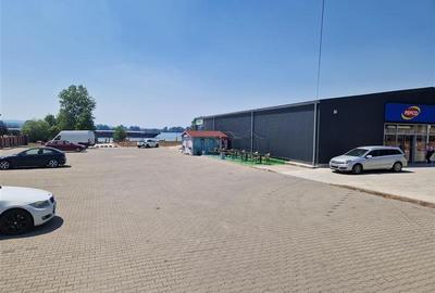 Teren Construcții intravilan de 1628 mp, în Sud-Vest - 11