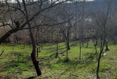 Casă cu 4 camere în Vâlcănești - 7