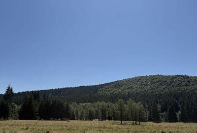 SUPER OCAZIE - Teren intravilan, COMANDAU-PUZ case de vac... - 1