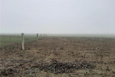 Teren de 10000 mp, în Fetești-Gară - 5