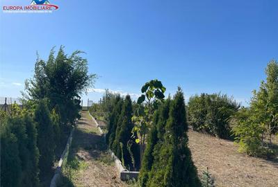 Teren de in localitatea Cataloi Tulcea - 5