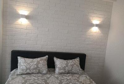 Garsoniera de inchiriat in Theodor Pallady - 2