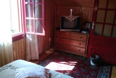 Casă cu 3 camere cu Teren 464 Mp în Dumbrăvița - 4